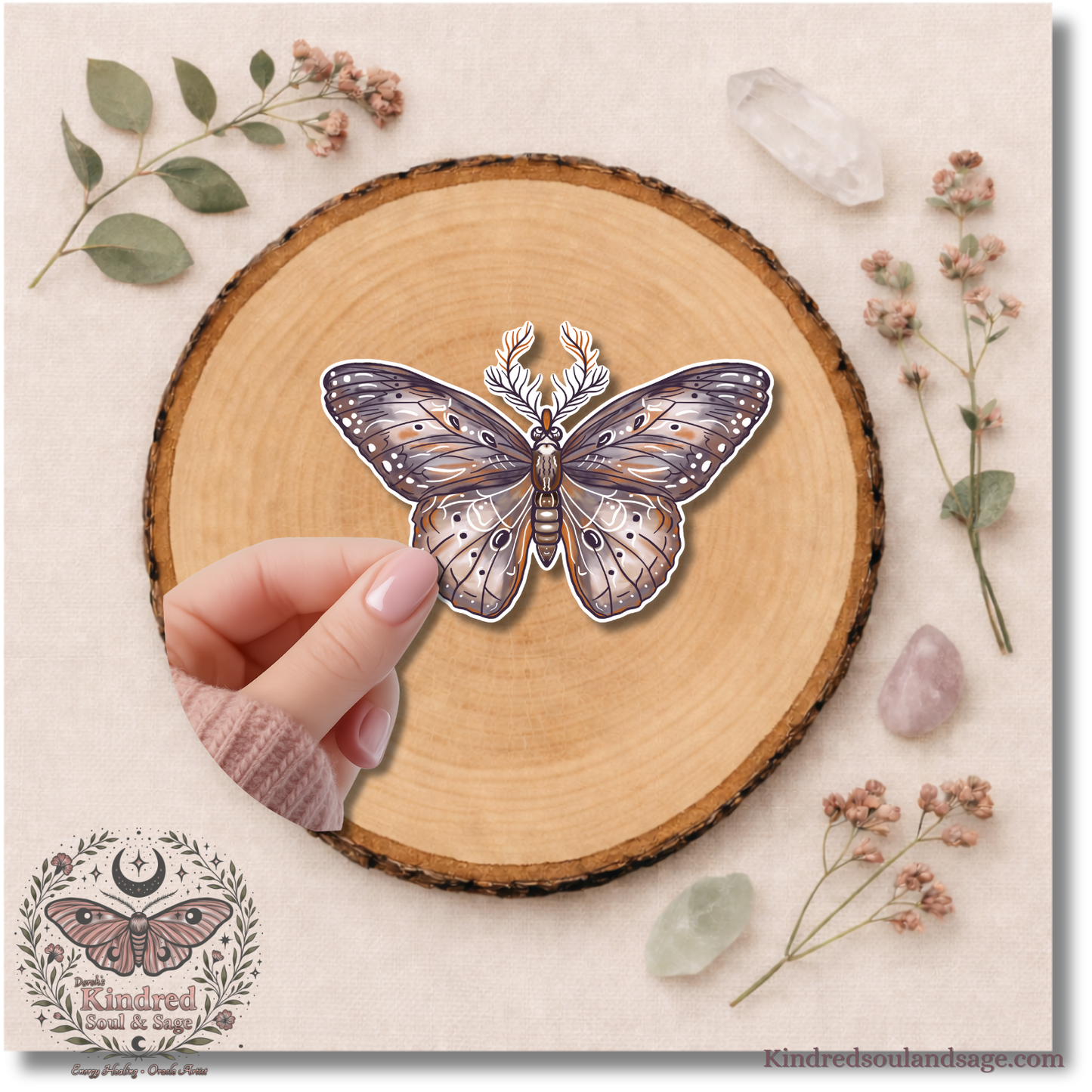Luna Moth Vinyl Sticker Symbol of Transformation 2 inch 3 inch or 4 inch