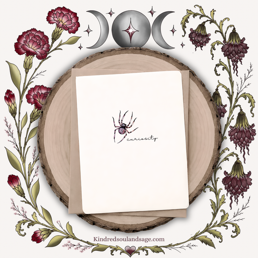 Curiosity Spider Greeting Card | Symbol of Creativity & Exploration | Nature-Inspired Intentional Card | 5x7 Art Card
